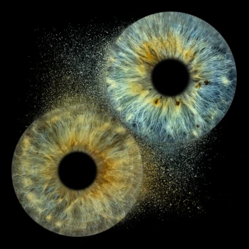 Iris dispursion 2