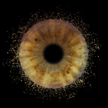 Iris particle 1