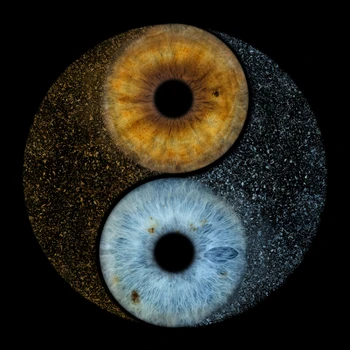 Iris yin-yang 3